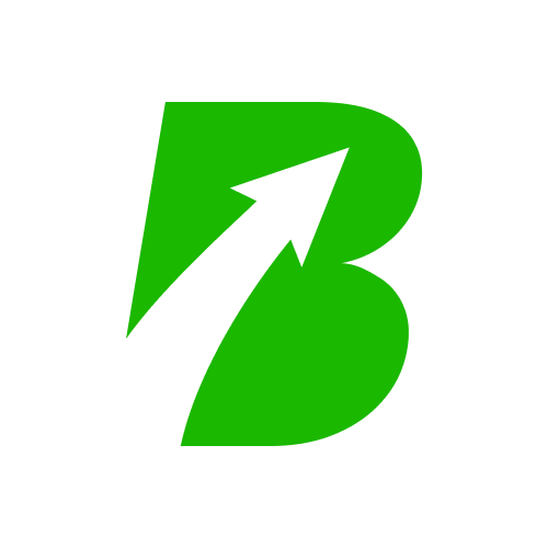 Bumpfy Logo